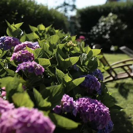 Ma Normandie, Jardin Et Mesnil Val Criel-sur-Mer